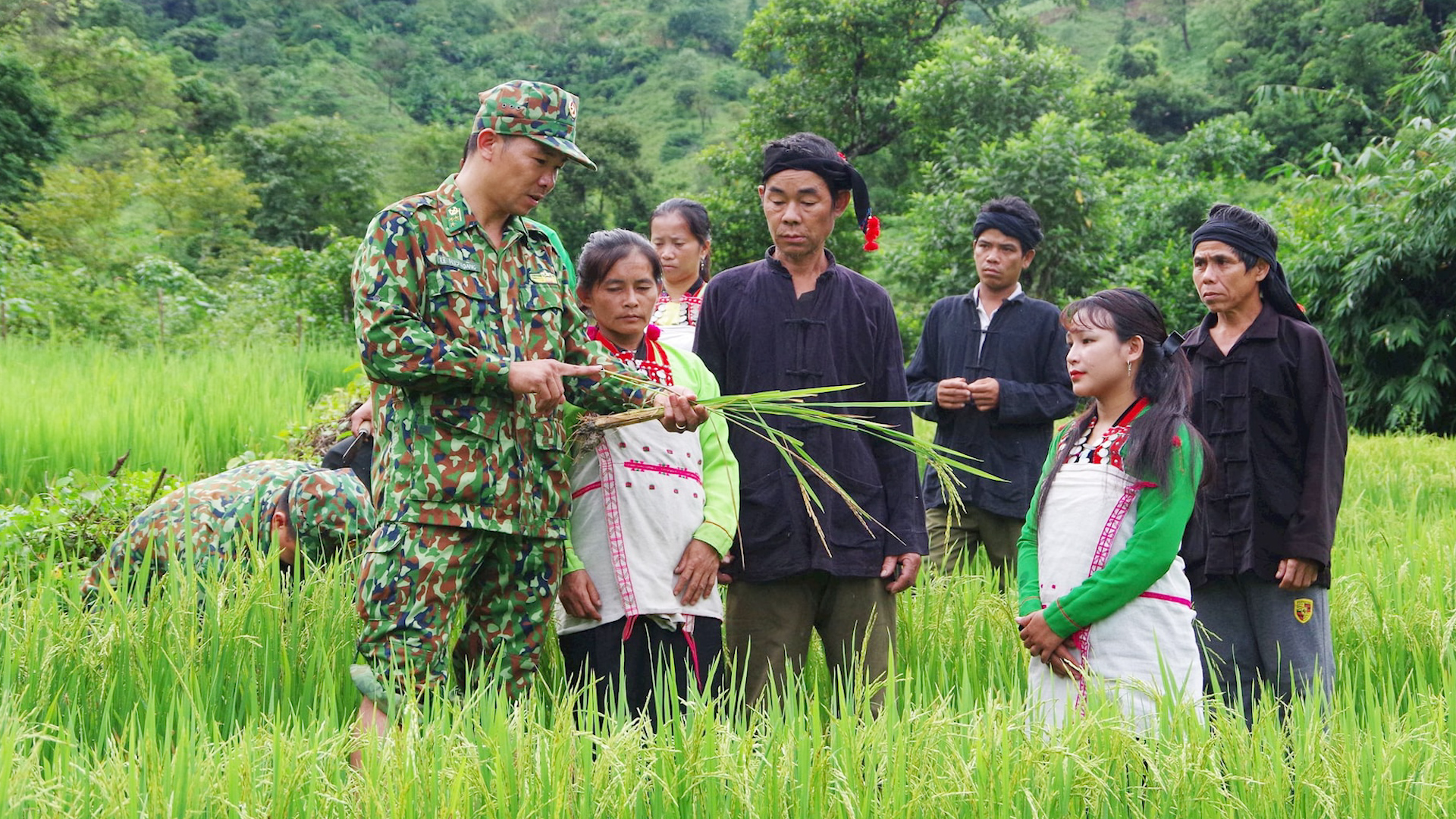 Chỉ đạo, điều hành nổi bật của UBND tỉnh, Chủ tịch UBND tỉnh ngày 10-6-2026